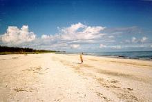 Bowman's Beach, Florida