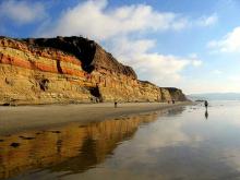 Torrey Pines State Beach, California