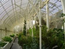 Dublin - The Botanical Gardens