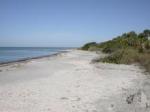 Best Beaches - Caspersen Beach, Florida