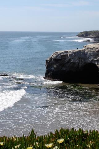 Natural Bridges Beach, California - View from upper lot Wallpaper #1 320 x 480 (iPhone/iTouch)