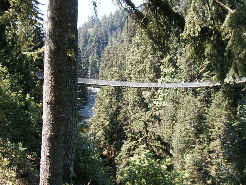 Vancouver - Capilano Suspension Bridge Wallpaper #4 1024 x 768 