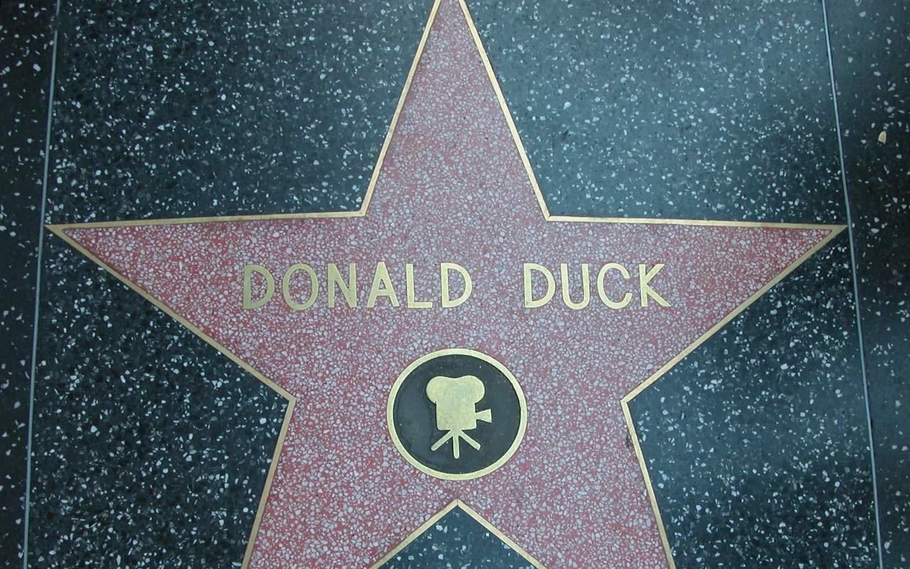 Los Angeles - Donald Duck on Walk of Fame Wallpaper #3 1280 x 800 