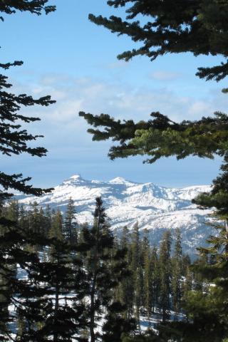 Northstar, California - View from Pioneer Trail Wallpaper #1 320 x 480 (iPhone/iTouch)