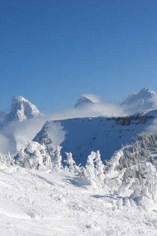 Grand Targhee, Wyoming - Grand Teton's from Fred's Mountain Wallpaper #1 320 x 480 (iPhone/iTouch)