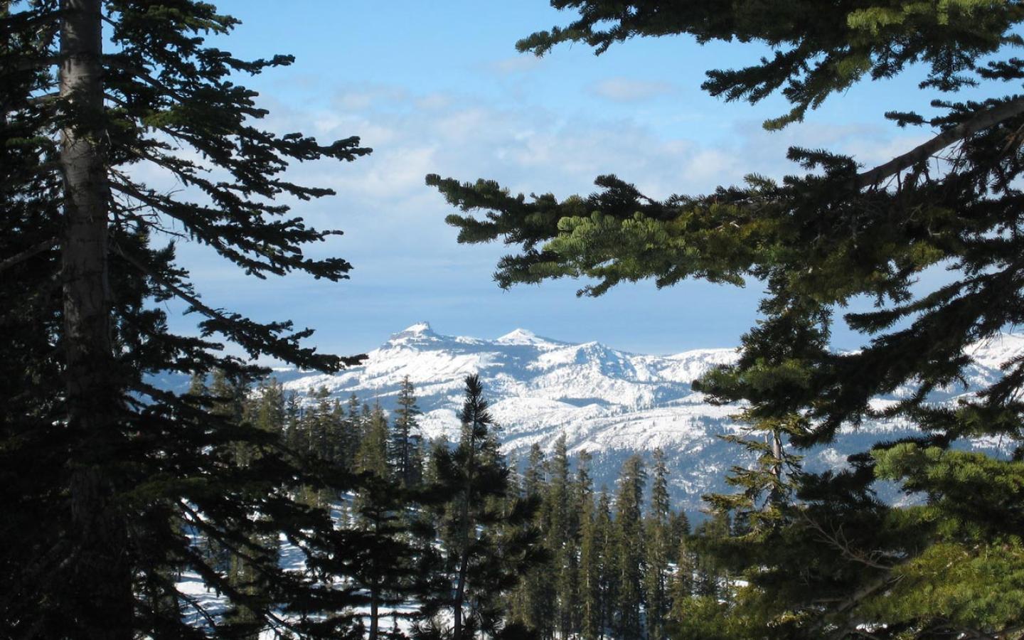 Northstar, California - View from Pioneer Trail Wallpaper #1 1440 x 900 